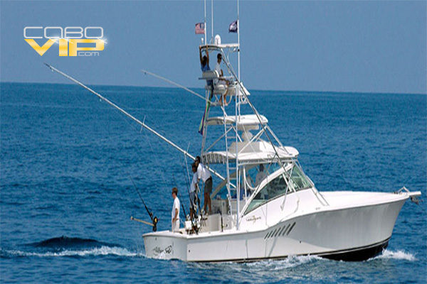 Modernos Yates para ir de Pesca en Los Cabos