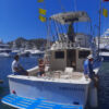 renta de yate Beltrán 34