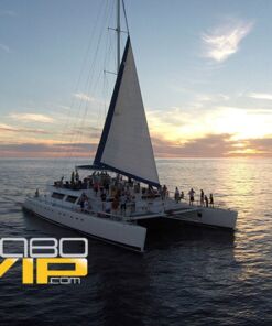 rent a yacht in los cabos