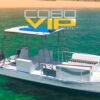 rent a yacht in los cabos