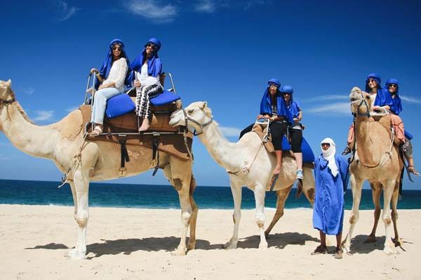 Aventuras en Los Cabos