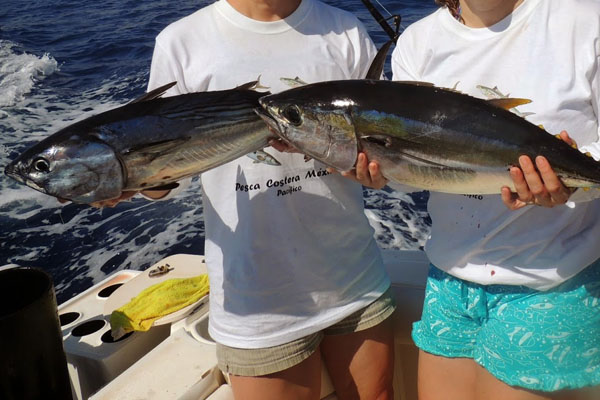 pesca-en-los-cabos-2 pesca en los cabos