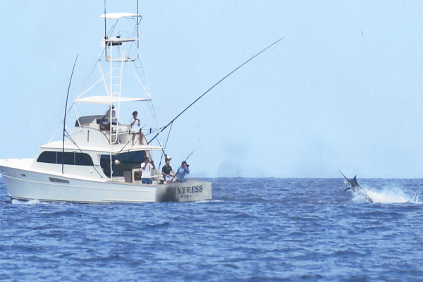 pesca y diversion en los cabos