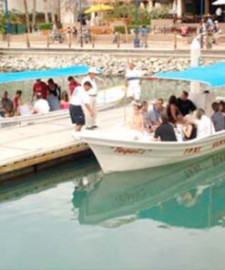 Tour Sabor a Los Cabos