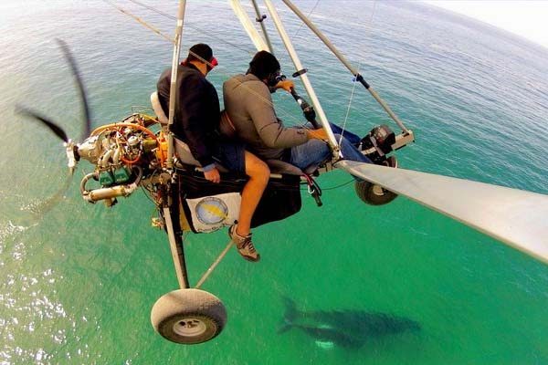 tours aereos en los cabos