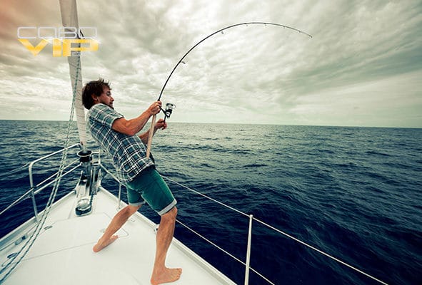 Botes para pescar en Los Cabos