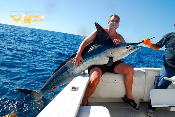 Botes para pescar en Los Cabos