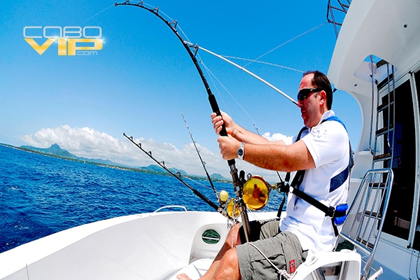 Botes para Pesca Deportiva en Los Cabos