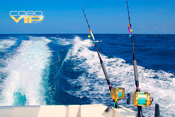 Yates en Renta para Pesca en Los Cabos