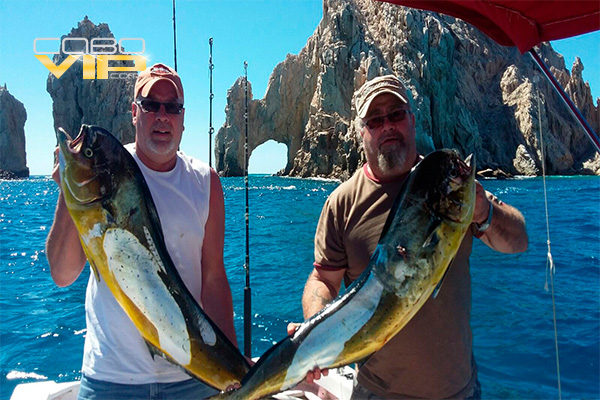 Yates para Pesca Deportiva en Los Cabos
