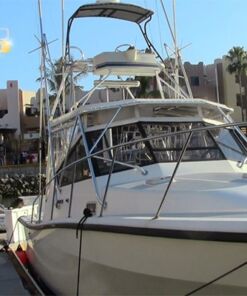 Bote para Pescar en Cabo San Lucas