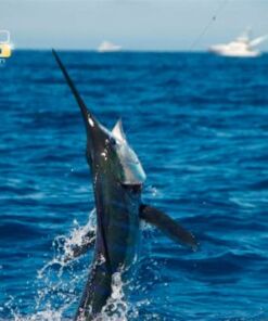 Renta de Yate equipado para Pescar en Los Cabos