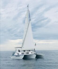 Catamaran, Trimaran, Velero renta en Los Cabos