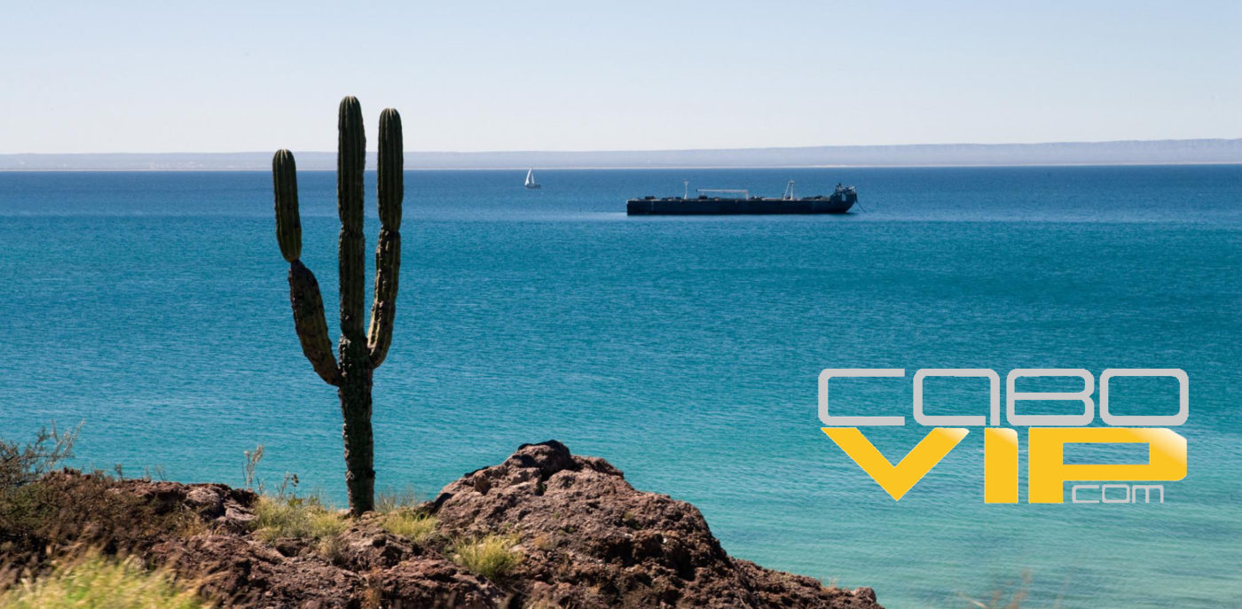 Renta de Yates y veleros baratos en La Paz