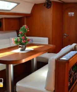 Barco velero moderno para pasear en Los Cabos 42