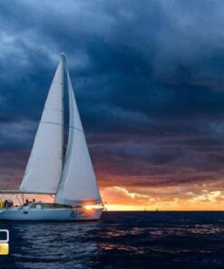 Velero moderno para paseo en Los Cabos 38