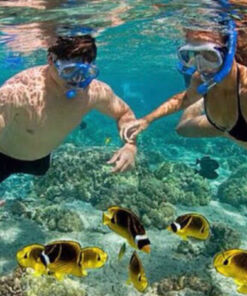 snorkel en Los Cabos