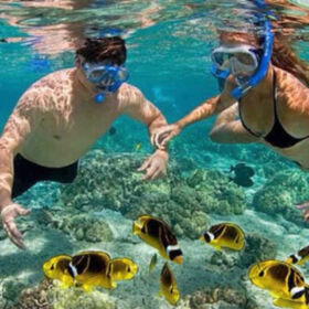 snorkel en Los Cabos