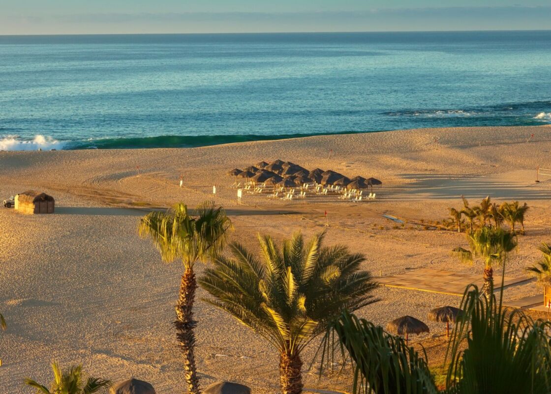 primavera en Los Cabos