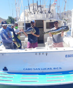 renta de yate Beltrán 34