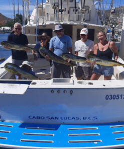 renta de yate Beltrán 34