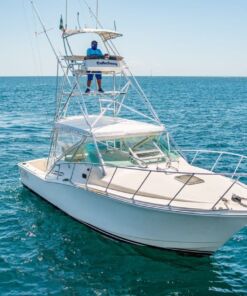 renta de yates en Todos Santos