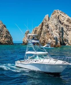 renta de yate Cabo Express 33