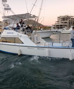 Renta de yate de pesca Cristaliner 33