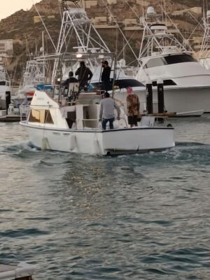 Renta de yate para pesca Cristaliner 33