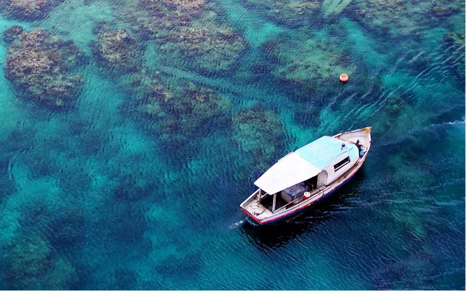 renta de yates para buceo snorkel precio