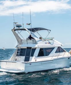 Bayliner 42 Yacht Rental Cabo