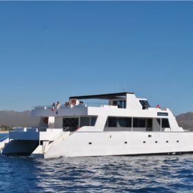 Catamaran 100 ' | Public Excursion Cabo